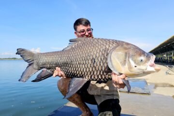 carp caught during a multi species fishing tour at bang len lake